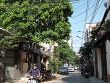 Hình ảnh Bán Khuôn Đất Hẻm Xe Hơi Nguyễn Trãi P. NCT Q1 DT 9x15m Giá 33 tỷ