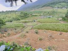 Hình ảnh Đất nền Y Tý 1900m2. Siêu phẩm săn mây giá rẻ tại SAPA 2
