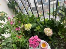 Hình ảnh Chính chủ cần bán  căn 3 pn 88m2, giá 3.790 tỷ tại Imperia Sky Garden