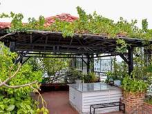 Hình ảnh Bán nhà hẻm ô tô tránh đường Hiệp Bình 52m2 7.1 tỷ, khu cá sấu hoa cà