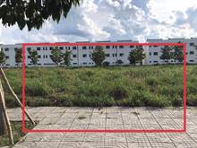 Hình ảnh Đất nền thổ cư cạnh khu công nghiệp Chơn Thành