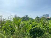 Hình ảnh Chính chủ cho thuê đất đường Thảo Điền,Q2. DT: 1000 - 8000m. Giá: 100t