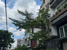 Hình ảnh Khu nhà cao cấp, hẻm xe tải, 64 m2, 4 tầng btct, dân trí cao, giá chỉ