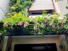 Hình ảnh Gấp nhà phạm văn bạch, 4x19m, 1 trệt 2 lầu, vị trí đẹp