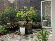 Hình ảnh Bán gấp nhà Đường Bùi Minh Trực,Phường5,Quận8,SHR,HXH ,giá chỉ 1ty589