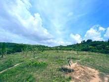 Hình ảnh Bán đất cách QL20 ngay Thị Trấn Định Quán chỉ 2km