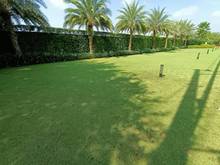 Hình ảnh Bán Đất MT Đường Số 5 Long Phước Thủ Đức 10.000m2, Giá Chào 135 tỷ.
