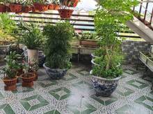 Hình ảnh ♻ Bán Nhà Shophouse Hoàn Thiện Full nội thất - mặt tiền tỉnh lộ 10