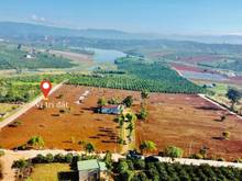 Hình ảnh Đất view hồ Phúc Thọ diện tích 1100m2  thổ cư 100m2 sổ công chứng ngay