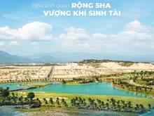Hình ảnh tin được không paragrus đã có hợp đồng mua bán