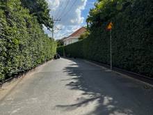 Hình ảnh Bán biệt thự sân vườn HXH 10m, Lê Văn Sỹ, Quận Phú Nhuận, DT: 12x22m