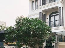 Hình ảnh Nhà MT nhánh Trần Não Quận 2 view LandMark81 Xd H/T/4Lầu 115m2- 23 Tỷ