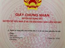 Hình ảnh Mặt Tiền Kd Đắc Địa 3 Tháng 2, P.12, Q.10, 60m2(4x15), 3Lầu, Nở Hậu