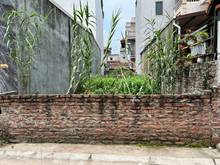 Hình ảnh Chính chủ cần sang tên gấp 40m2 đất thổ cư gần đường Bát Khối