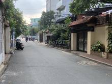 Hình ảnh Chính chủ cho thuê biệt thự Trần Nhật Duật P. Tân Định, Quận 1 -15x20m