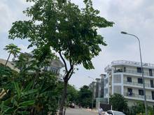 Hình ảnh Cần bán gấp đất! MT Song Hành, P10, Q6, 75m2, SHR, XDTD, 2.6 tỷ