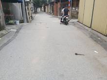 Hình ảnh Bán Gấp Nhà Tổ 5 Thạch Bàn, Long Biên. Ngõ 4m Ô Tô Vào Tận Nhà