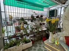Hình ảnh Bán Nhà 5 Tầng, HXH, Kinh Doanh Tốt, Sau Pearl Plaza, Phường 25 BT