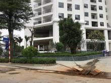 Hình ảnh Bán nhà mặt phố Lĩnh Nam 494m2, MT 13m, kinh doanh ngày đêm siêu đỉnh,