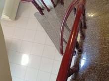 Hình ảnh Cho thuê MBKD đường Nhất Chi Mai. Tân Bình 180m2