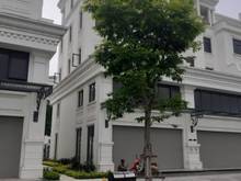 Hình ảnh Shophouse 156m2 xẻ khe, mặt tiền 8m đường 30m, chấp nhận giá thấp tt