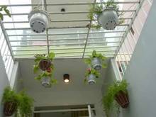 Hình ảnh CC Bán Nhà HXH 4M Nguyễn Đình Chính P5 PN 3.6x14m 1T2L ST Nhà Mới
