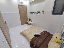 Hình ảnh CHDV Mini Siêu Xinh Thống Nhất Gò Vấp