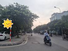 Hình ảnh Đất Việt Hưng, lô góc 3 thoáng, kinh doanh, 280m, MT 25, nhỉnh 37 tỷ