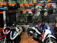 Hình ảnh Hoàng Mai, nhà đẹp, gara, sân vườn, gần hồ Đền Lừ, 65m2, 6.5 tỷ.