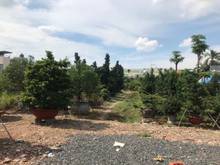 Hình ảnh Cho Thuê Lô Đất 9000m2 đường An Phú Đông 9, Quận 12