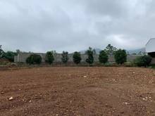 Hình ảnh Cần tiền bán gấp 1340m2 đất nghỉ dưỡng tại Minh Phú -Sóc Sơn - Hà Nội