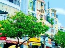 Hình ảnh Bán gấp nhà hẻm 392 Nguyễn Trãi P2 Q5. Đoạn 2 chiều.