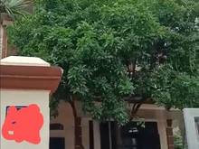Hình ảnh Bán nhà 3 tầng kép phường Thịnh Đán
