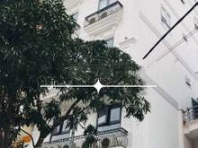 Hình ảnh CĂN HỘ DỊCH VỤ 106 PHÒNG. 12x38m. 9 Tầng .MT Lý Phục Man. Chỉ 126 Tỷ