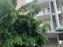 Hình ảnh HOLTEL PHỐ ĐÈN ĐỎ MT Đường Lý Phục Man. 14 Phòng. Chỉ 15 Tỷ 5. BÁN