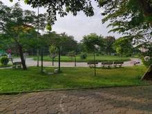 Hình ảnh Chính Chủ Bán Đất Ngõ Huỳnh Tấn Phát, Thạch Bàn, Long Biên. 54m2