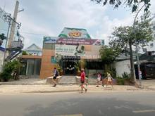 Hình ảnh Cho thuê nhà 2MT Quốc Hương, Thảo Điền Q.2, Sàn 560m2, Giá 165tr