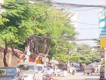 Hình ảnh Bán Nhà Gần Đại Học Tài Chính - Maketing đường Tân Mỹ, Quận 7, 52m2, N