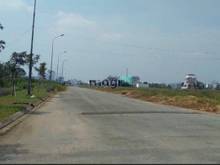 Hình ảnh Cần tiền bán gấp đất đường Dân Chủ, Bình Thọ, Thủ Đức, SHR,