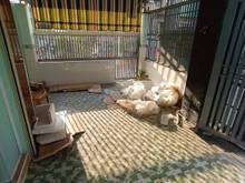 Hình ảnh BÁN NHÀ HẺM Ô TÔ Thông- Lương Thế Vinh 47m2- Ngang 6,2m -nhình 4.X