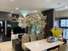 Hình ảnh Cho Thuê Vinhome ocean park Căn  2N 69m2 Lô Góc Đồ Cơ Bản Giá 6tr