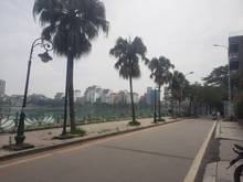 Hình ảnh Biệt thự sân vườn Từ Hoa - Cách hồ 15m - 176m2 - MT8m - 33 tỷ