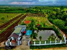 Hình ảnh Vợ Chồng sang Mỹ định cư bán nhanh trong tháng để kịp lo thủ tục giấy