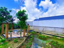Hình ảnh Bán Nhà Vườn 805m2 có 495m2 TC Mặt Tiền DT833