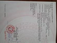 Hình ảnh nền thổ cư hẻm nhánh hẻm 54 Công Binh Long Hoà Bình Thủy