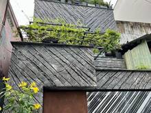 Hình ảnh Bình Thới, Q11, 4 Tầng ,62m2, HxH, vừa ở, vừa có sẵn dòng tiền 10tr.
