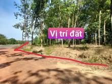 Hình ảnh Chủ ngộp hạ giá bán gấp lô góc 3mặt tiền 1500m2 ngay mặt đường tạo lực