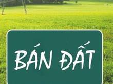 Hình ảnh Cần bán lô đất mặt tiền đường số 6, Hưng Phước 4, mặt tiền đường lớn