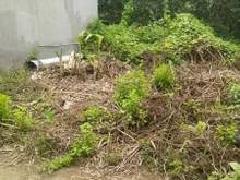 Hình ảnh Nắm Chủ Bán Nền Thổ Cư Hẻm 9 Phạm Ngọc Hưng P.An Hoà Giá 1 Tỷ 450TR