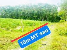 Hình ảnh Bán đất 2 mặt tiền 1/ đường Bùi Thị Điệt - 1403m2 - 15x93 - Củ Chi